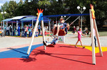 Double chain swing