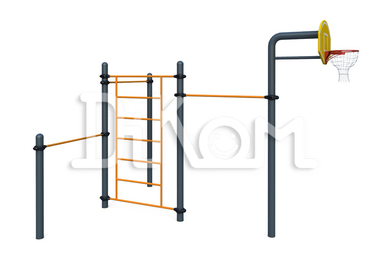 Chinning bars system 
With basketball pole